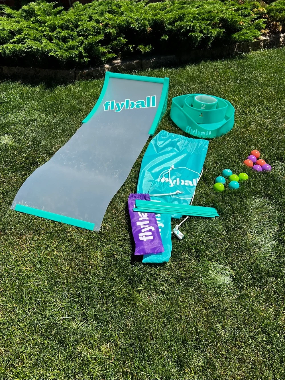 Flyball Lawn and Beach Skeeball Game. - Picture 4 of 7
